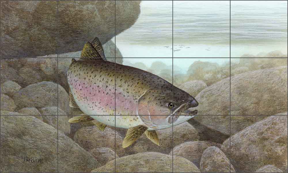 Rainbow Trout by Tim Knepp Ceramic Tile Mural TKA008 Artwork On Tile