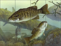 Smallmouth Bass by Tim Knepp Ceramic Tile Mural - TKA010