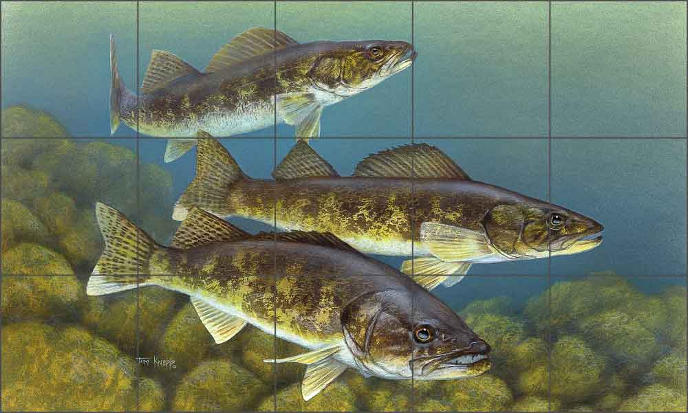 Walleye by Tim Knepp Ceramic Tile Mural - TKA012