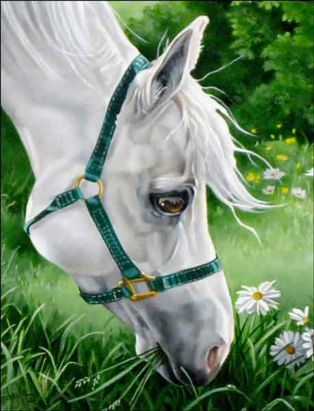 Verdayle Horse Equine Art Ceramic Accent & Decor Tile - VFA014AT