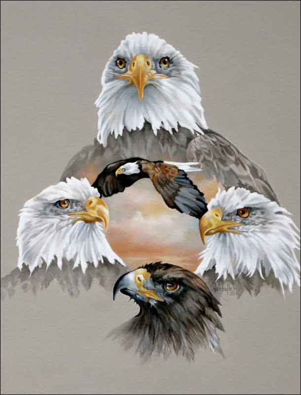 Eagles Rule by Verdayle Forget Ceramic Accent & Decor Tile - VFA032AT