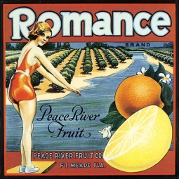 Romance by DP Art Ceramic Accent & Decor Tile - VLA099