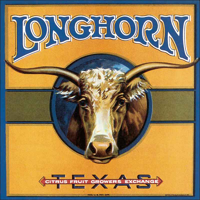 Longhorn by DP Art Ceramic Accent & Decor Tile - VLA103