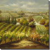 Vineyard